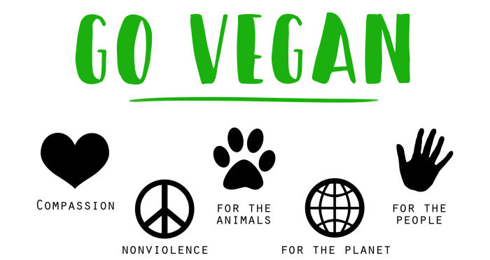 jak přejít na veganskou stravu